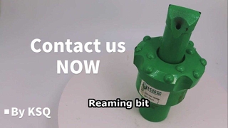 รีมมิ่งบิต